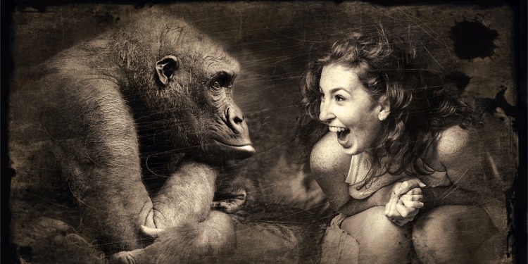 Laughter and chimpanzee